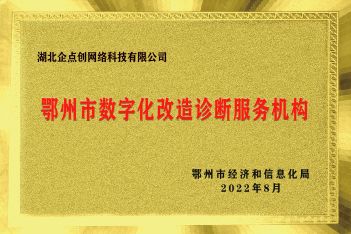 鄂州市(shì)數字化改造診斷服務機(jī)構