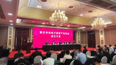黃石市(shì)光(guāng)電(diàn)子信息産業(yè)協會(huì)成立