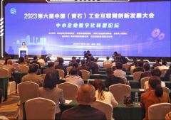 湖(hú)北(běi)中小(xiǎo)企業(yè)數字化轉型試點城(chéng)市(shì)實施工(gōng)作正式啓動