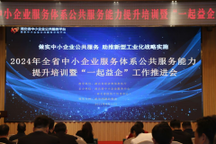 2024年(nián)全省“一(yī)起益企”中小(xiǎo)企業(yè)服務行動啓動儀式在漢舉行