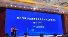 湖(hú)北(běi)省經信廳：黃石市(shì)中小(xiǎo)企業(yè)數字化轉型試點工(gōng)作推進會(huì)暨專題培訓活動