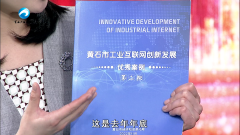從(cóng)論噸賣到(dào)論斤賣，黃石市(shì)經信局局長(cháng)：算(suàn)好工(gōng)業(yè)倍增賬